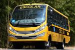 Caio F2400 Mercedes-Benz LO 916 R 2019 года (LA)